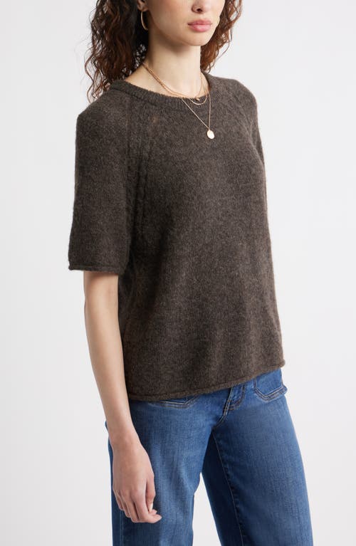 Treasure & Bond Relaxed Short Sleeve Sweater In Brown