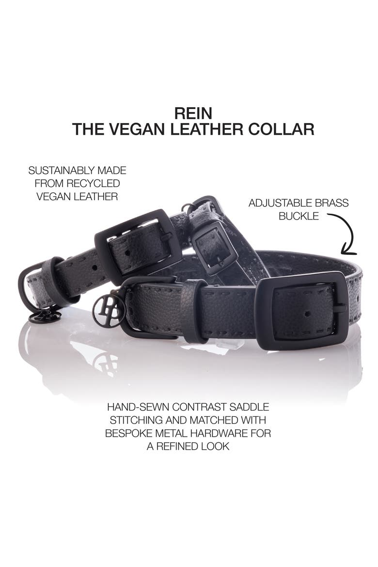 Rein Faux Leather Dog Collar, Alternate, color, BLACK BEAUTYDNU