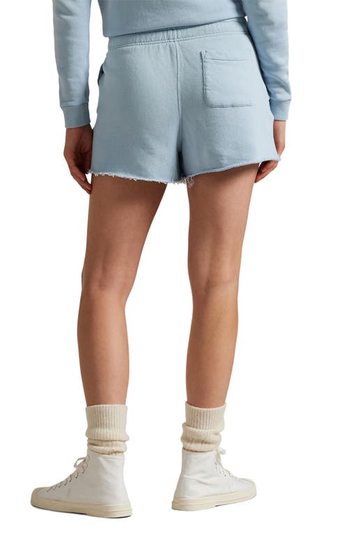 Polo Ralph Lauren Lightweight Fleece Shorts In Alpine Blue