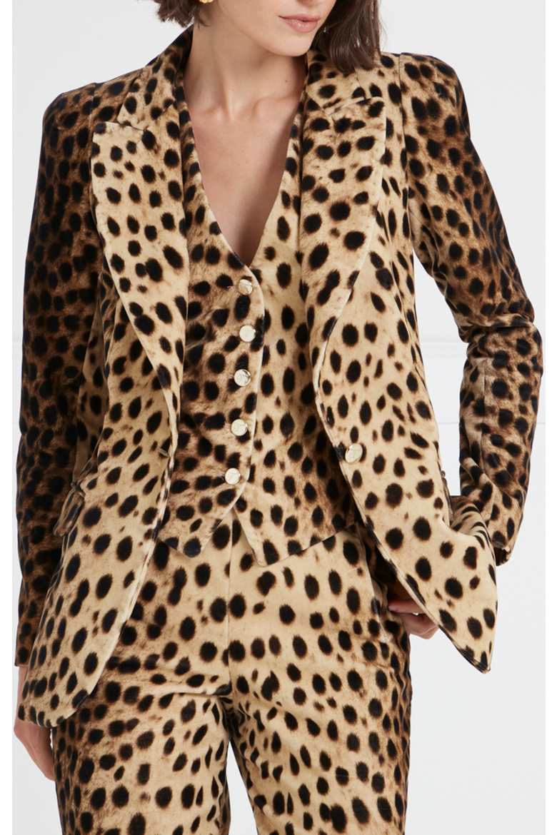Nemera Velvet Jacket, Alternate, color, Leopard Print