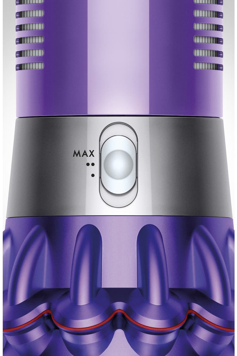 V10 Animal Cordless Vacuum - Refurbished, Alternate, color, IRON