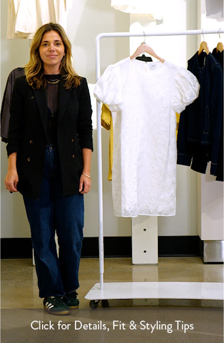 Embroidered Floral Bubble Short Sleeve Dress, sales video thumbnail