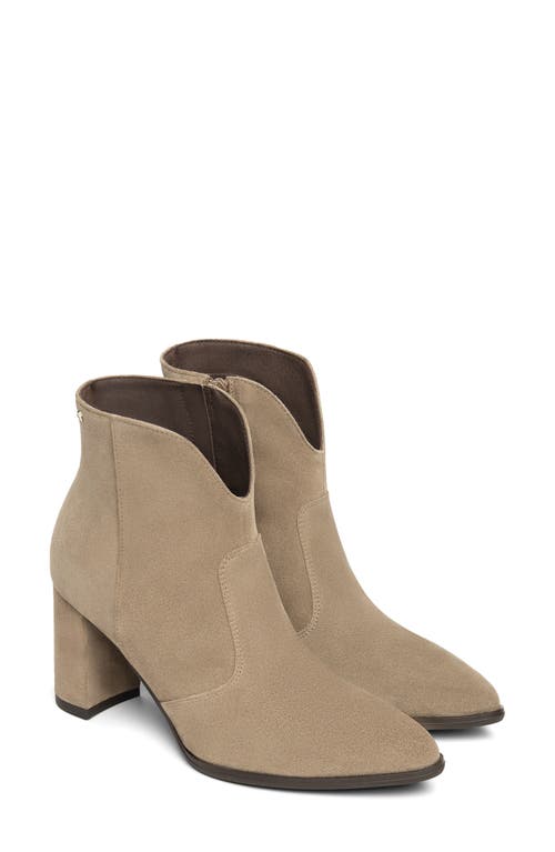 Nerogiardini V-cut Bootie In Brown