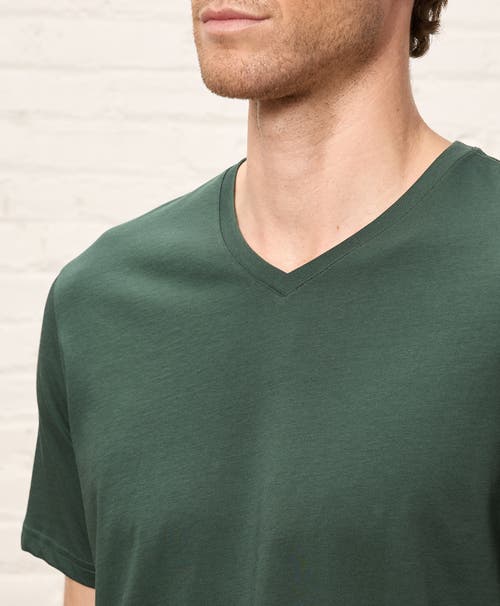 Pact Organic Cotton Softspun V-neck Tee In Green
