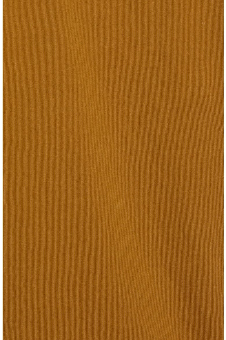 Men's Organic Jersey T-Shirt, Alternate, color, NUTMEG