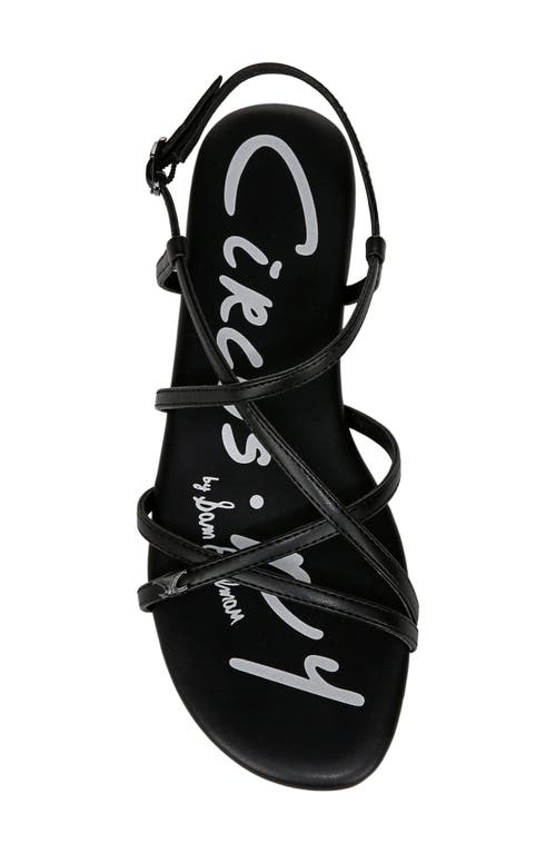 Circus Ny By Sam Edelman Rebecca Strappy Flat Sandals In Black