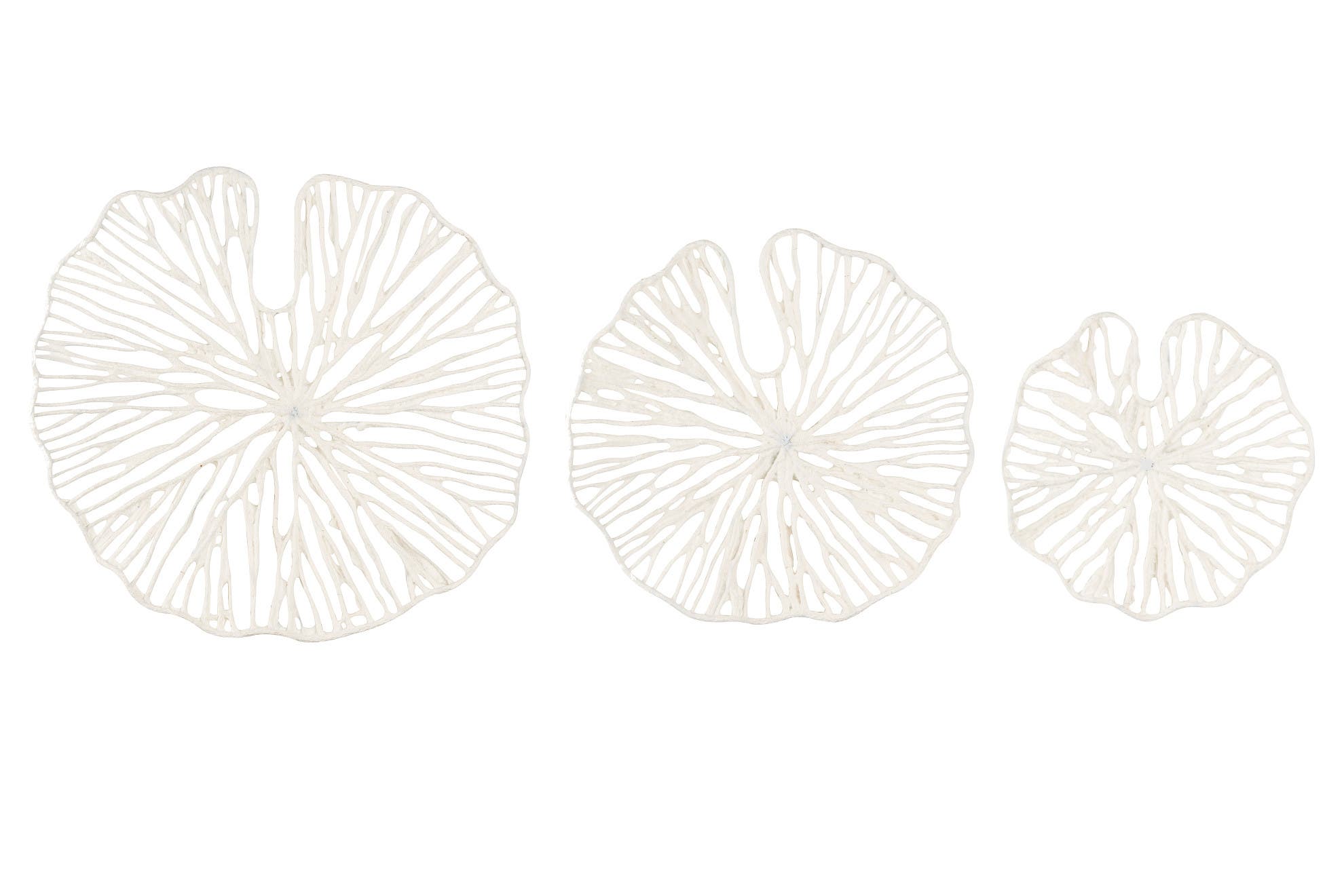 selected White
