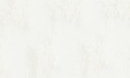 Treasure & Bond Sheer Lace Top In White