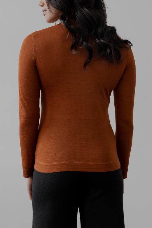 Sskein Turtle Neck Pullover In Rust In Brown