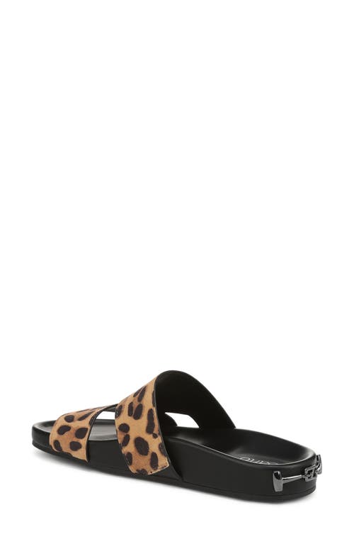 Shop Franco Sarto Britt Leopard Print Slide Sandal In Brown