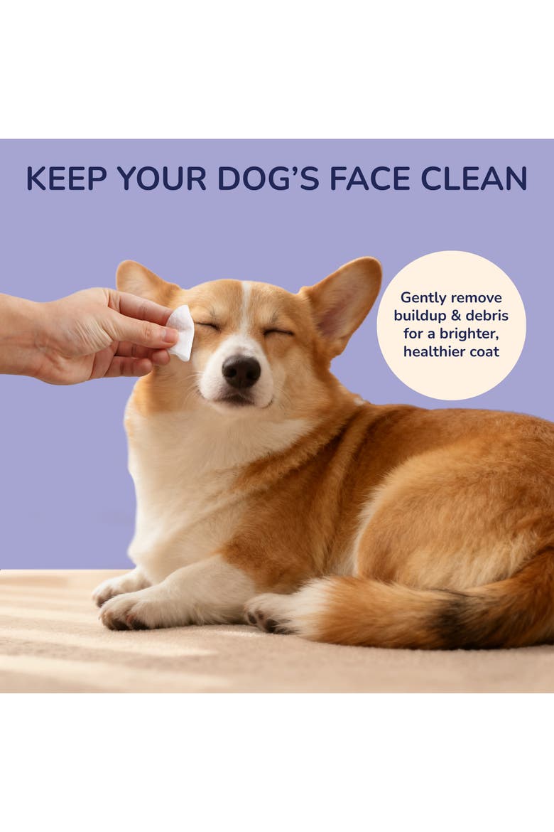 Dog Eye & Tear Stain Wipes, Hypoallergenic, Chamomile & Oat Kernel, Alternate, color, White - 1Pack (120ct)