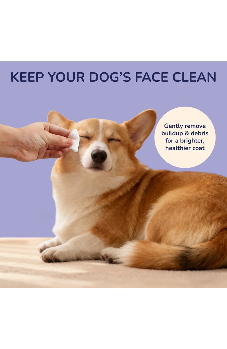 The Licker Store Dog Eye & Tear Stain Wipes, Hypoallergenic, Chamomile & Oat Kernel, Alternate, color, White - 1Pack (120Ct)