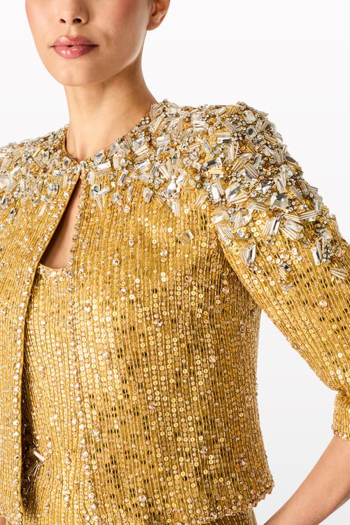 Jenny Packham Gaia Jacket In Multi