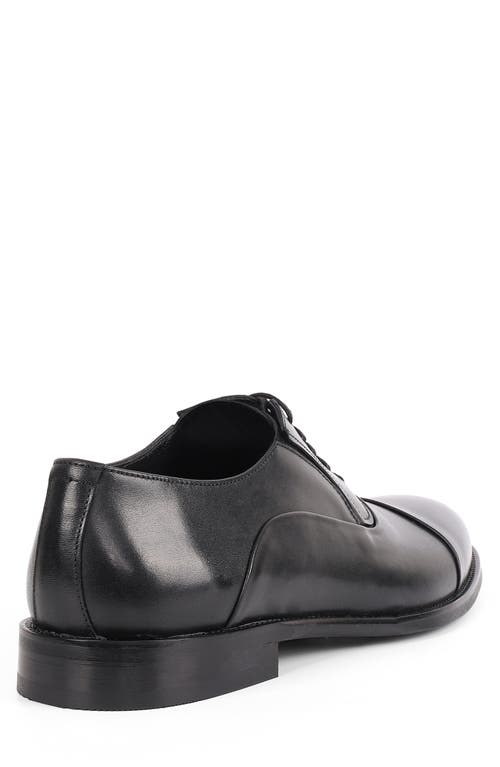 Vellapais Otto Oxford In Black