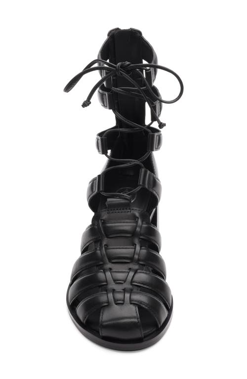 Ash Juvia Lace-up Gladiator Sandal In Black
