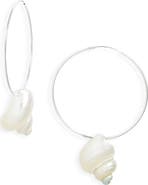 Child of Wild Sea Spiral Shell Hoops