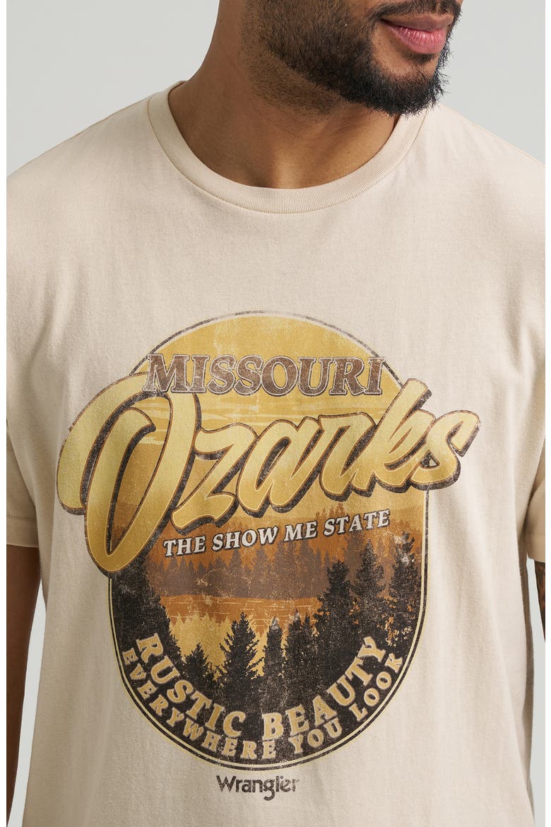 Ozarks Graphic T-Shirt, Alternate, color, FOG