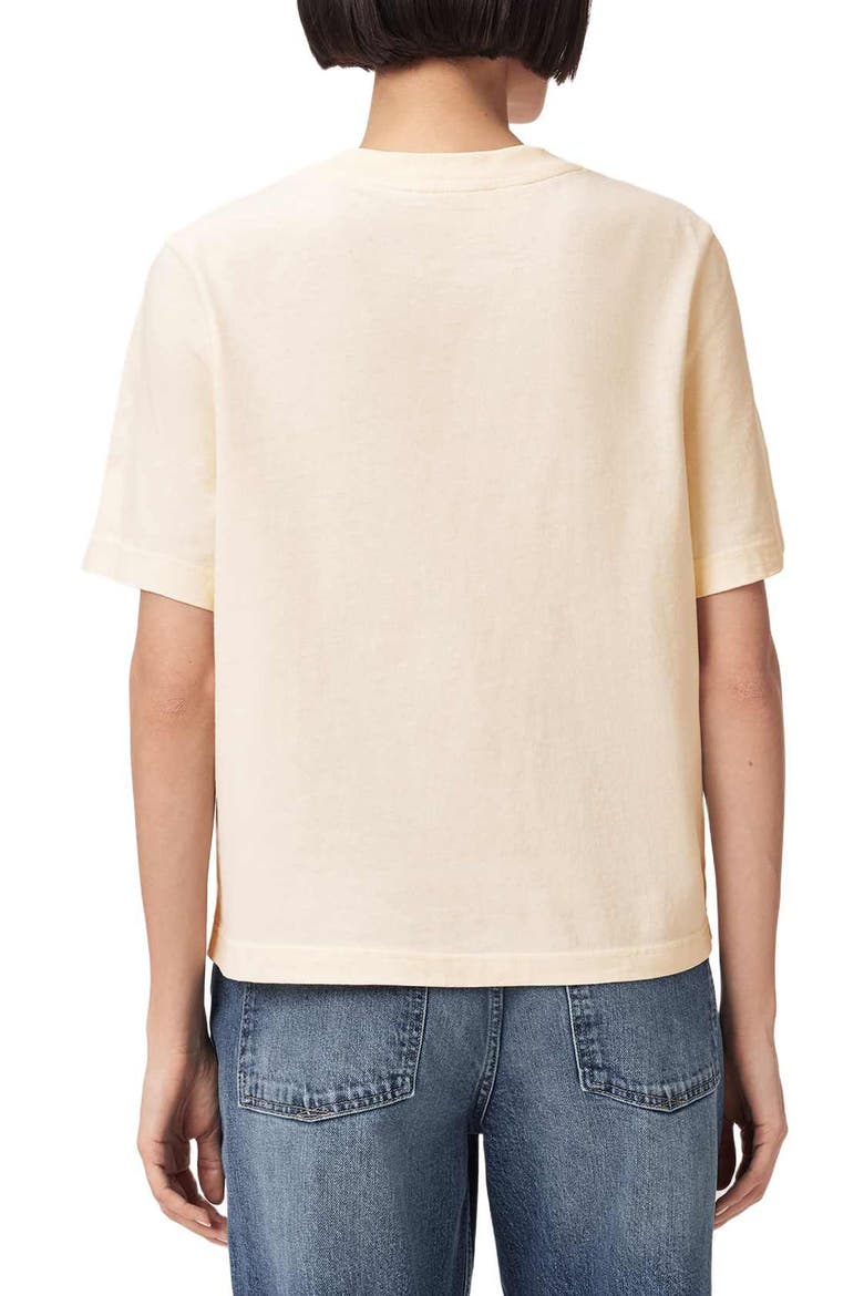 Lisa Embroidered Cotton T-Shirt, Alternate, color, PEBBLE WHITE