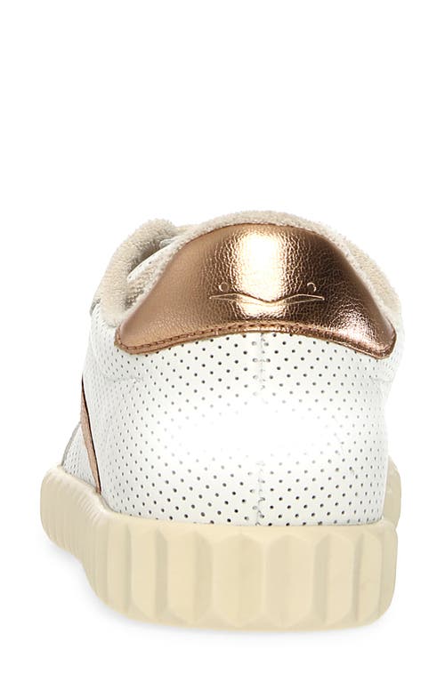 VOILE BLANCHE VOILE BLANCHE INES PERFORATED LOW TOP SNEAKER 
