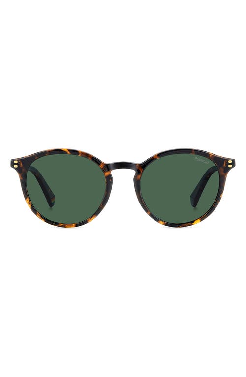 Polaroid 51mm Polarized Phantos Sunglasses In Havana/green Polar