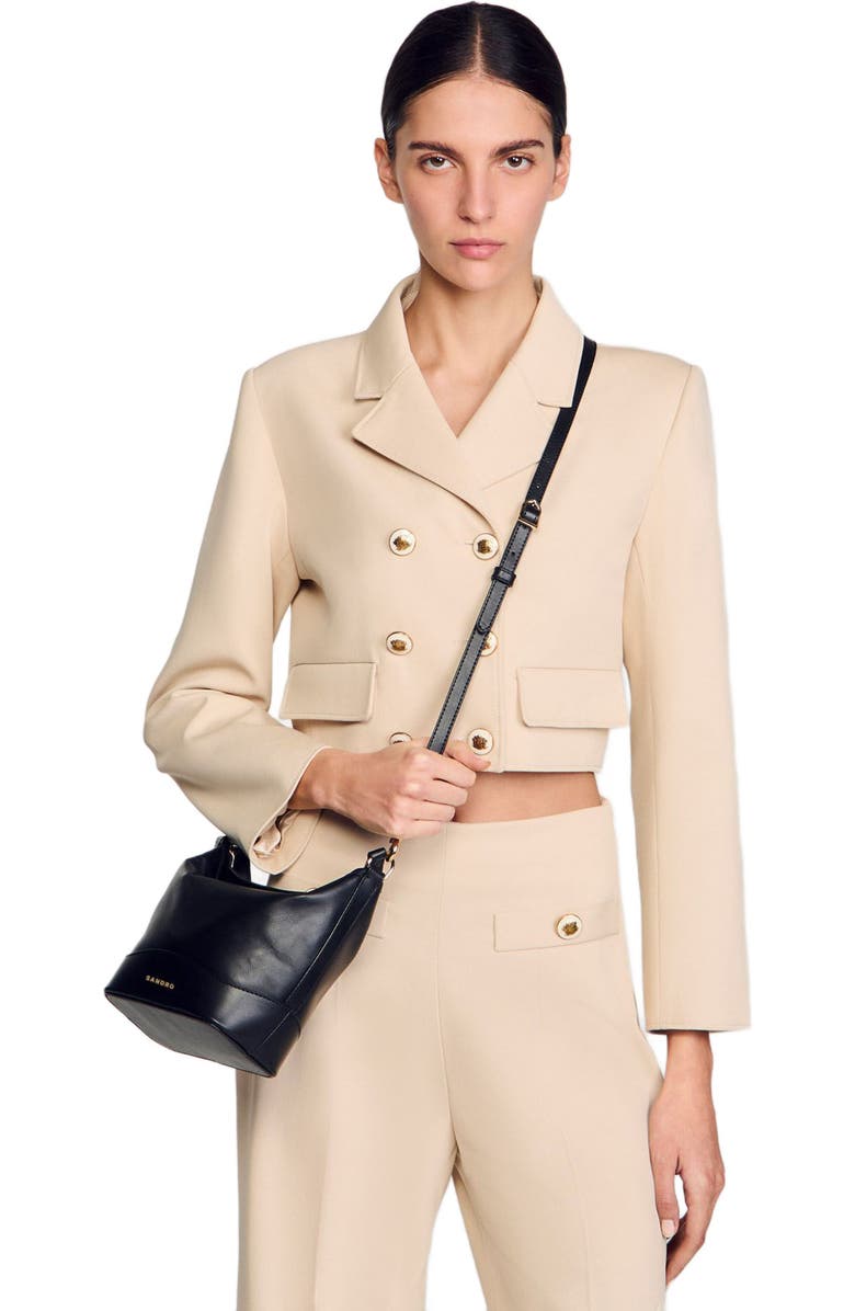 SANDRO Tangoso mini leather bag, Alternate, color, Black