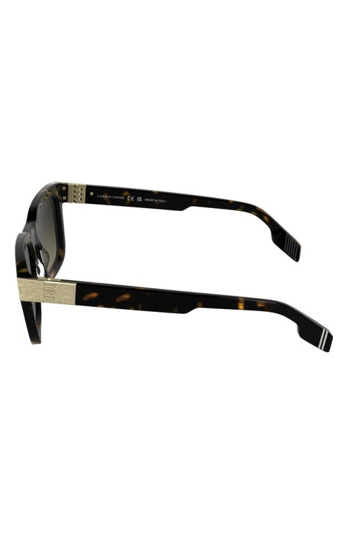 Canada Goose 52mm Rectangular Sunglasses In Dark Havana