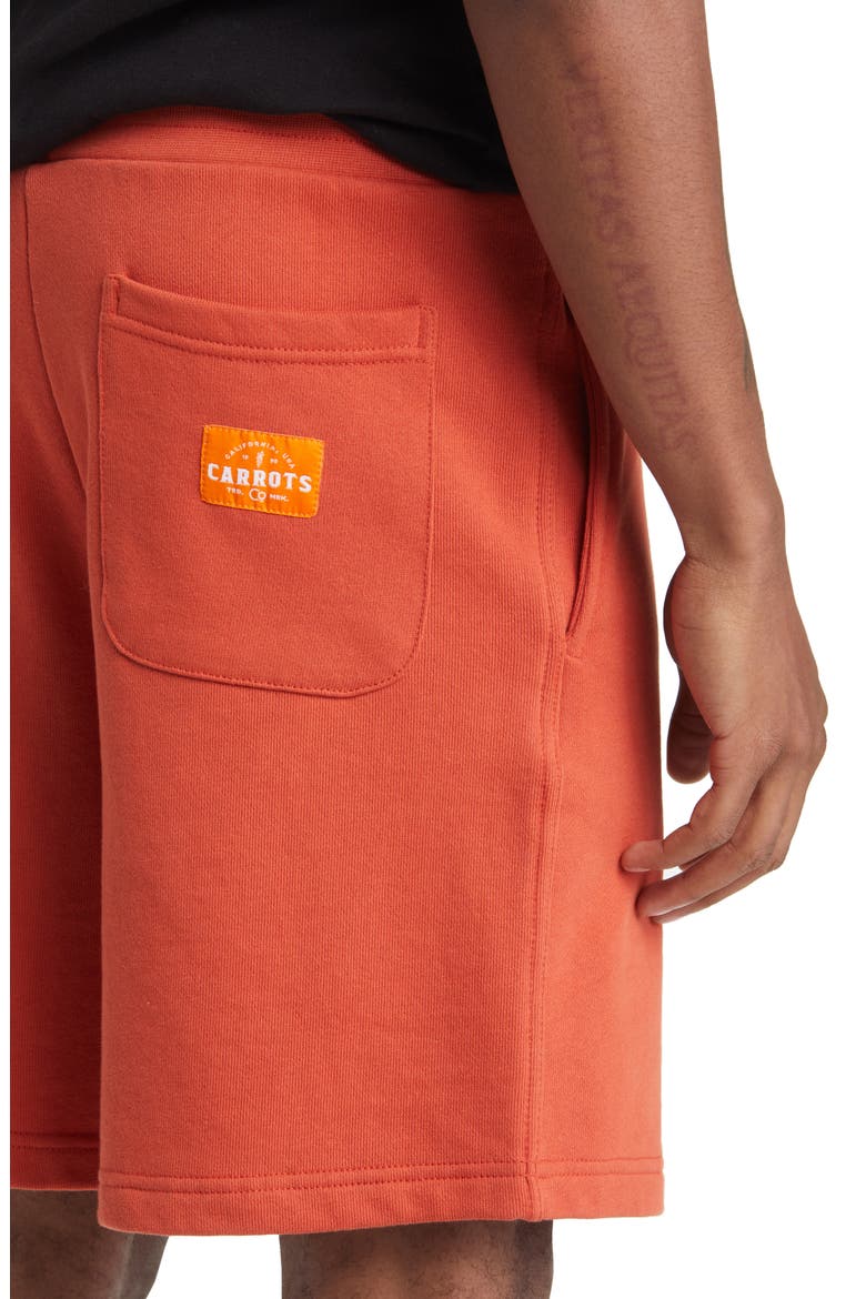Farm Supply Cotton Graphic Sweat Shorts, Alternate, color, ORANGE