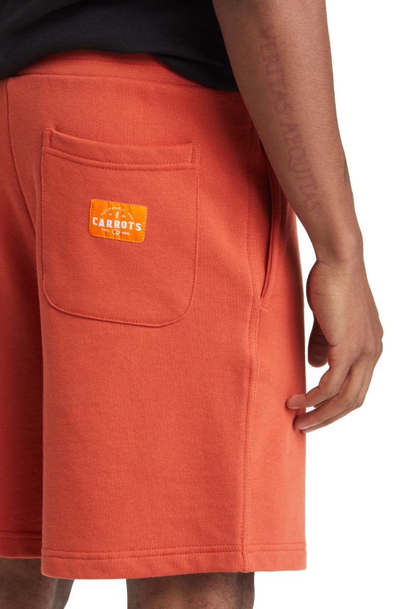 CARROTS BY ANWAR CARROTS Farm Supply Cotton Graphic Sweat Shorts, Alternate, color, 