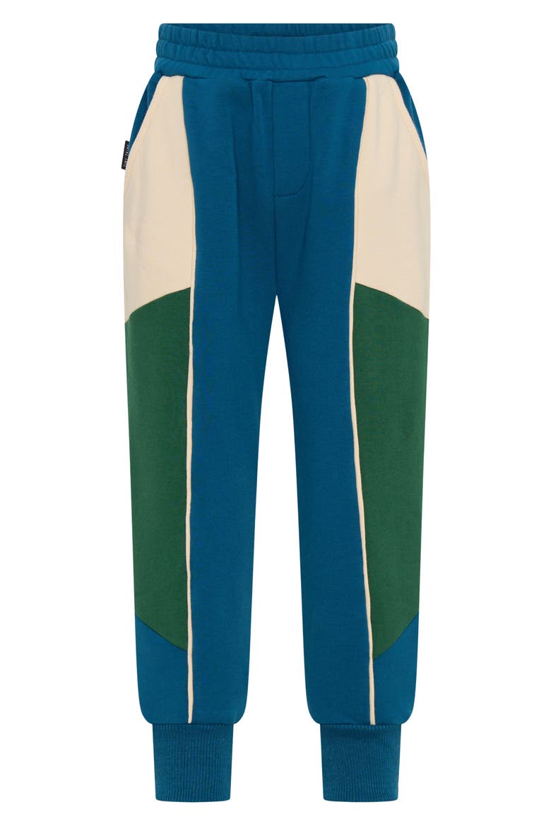 Kids' Colorblock Cotton Joggers, Main, color, NAVY