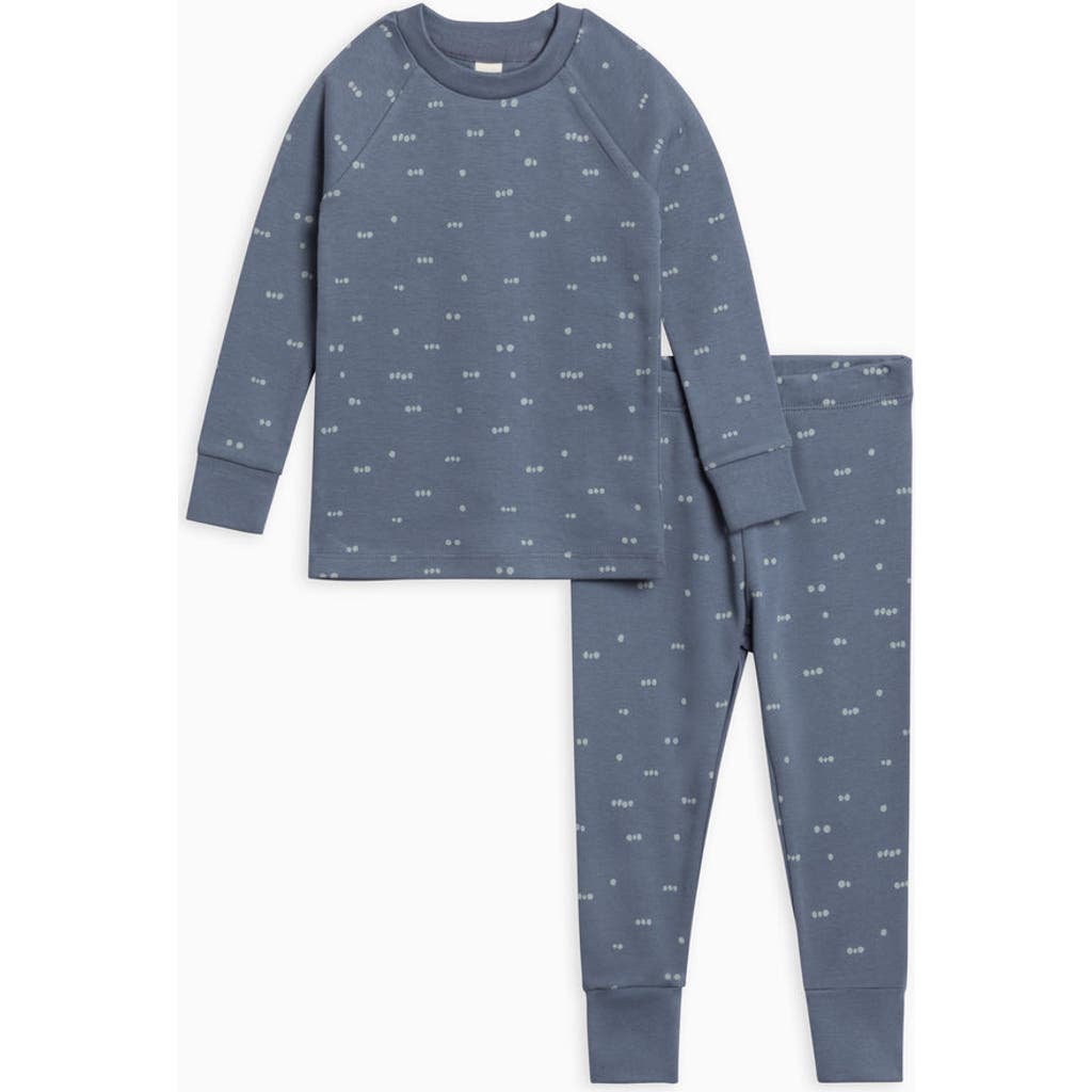 Colored Organics Organic Cotton 2 Piece Long Sleeve Jammie Set In Blue