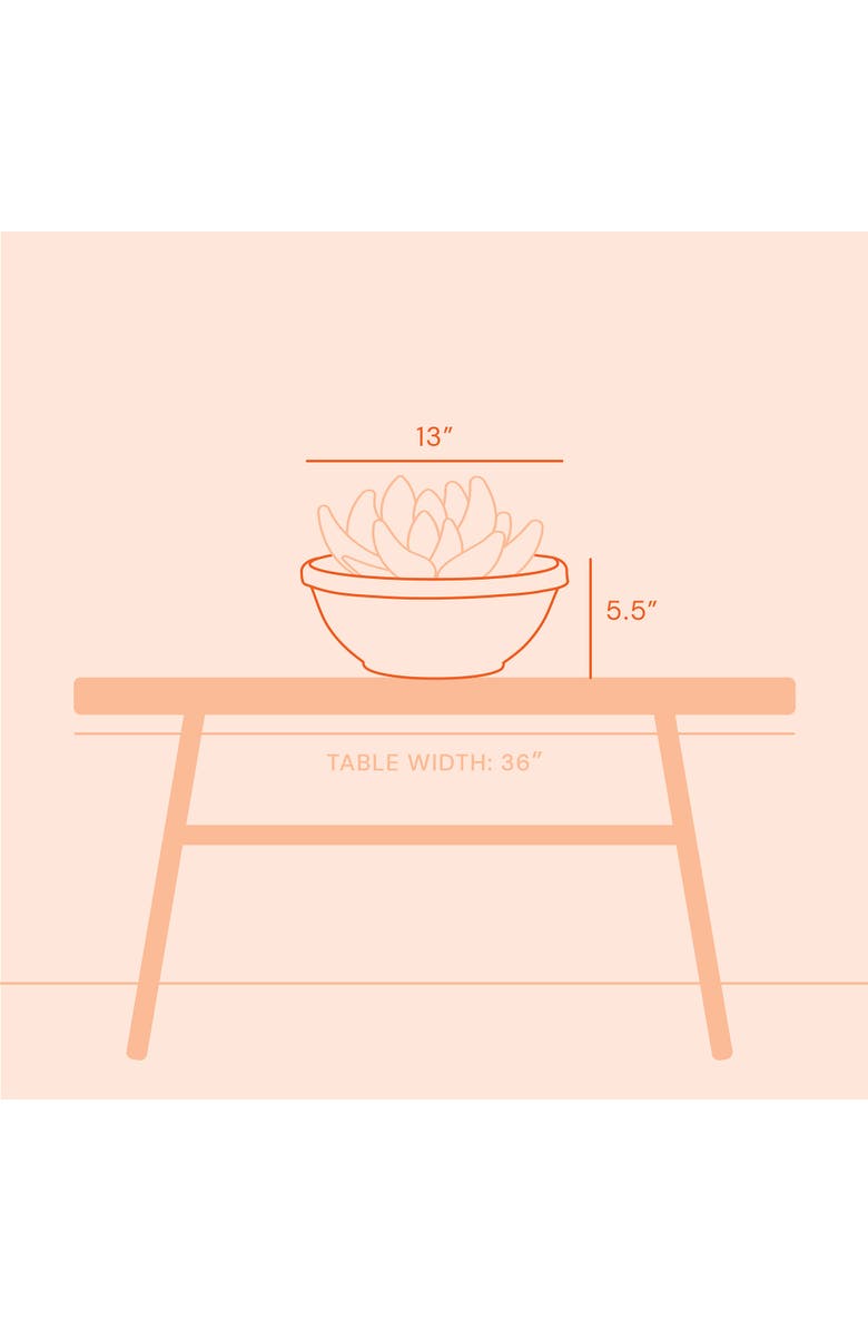 Bloem Terra Plant Bowl Planter 14" Black, Alternate, color, Black