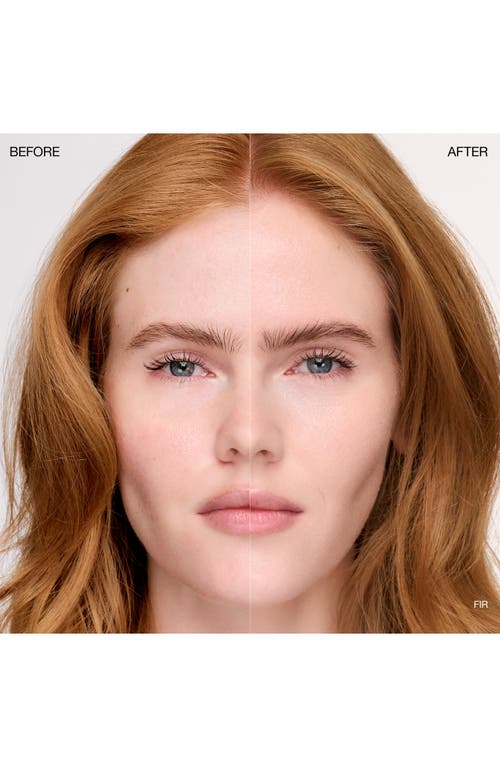 Ogee Complexion Perfecting Concealer In Green