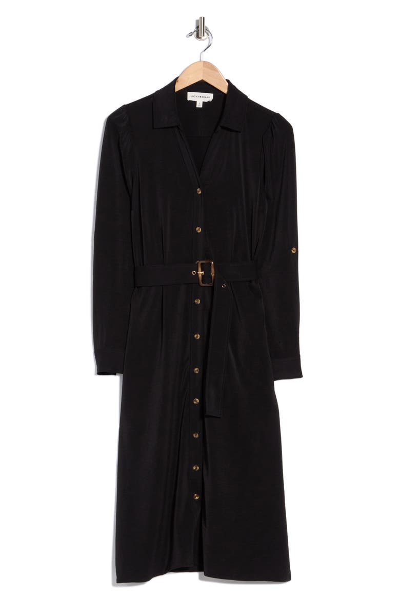 Long Sleeve Belted Shirtdress, Alternate, color, BLACK
