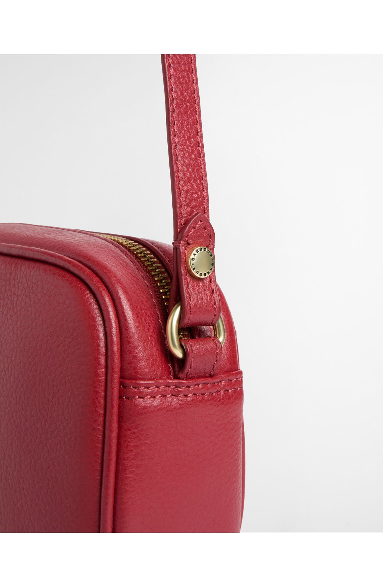 Daphne Mini Leather Crossbody Bag, Alternate, color, RED