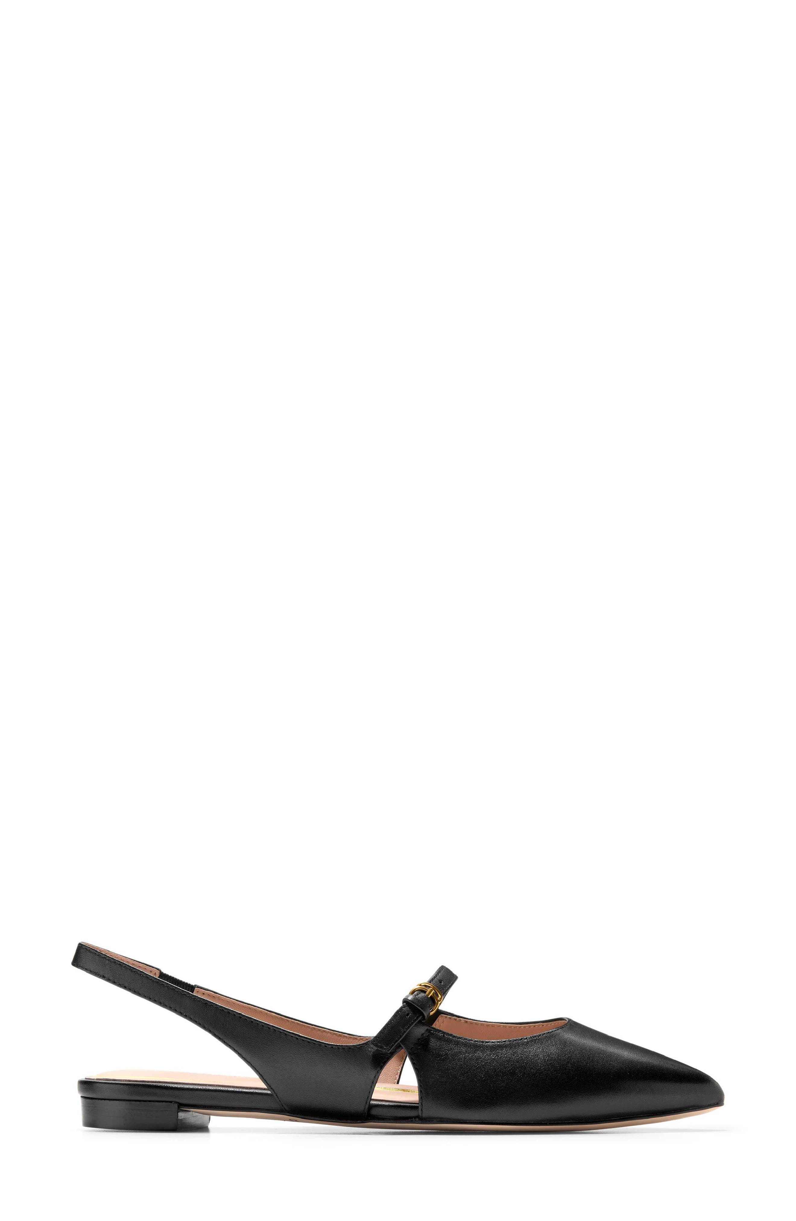 Cole Haan Anya Slingback Mary Jane Pointed Toe Flat, Alternate, color, 
