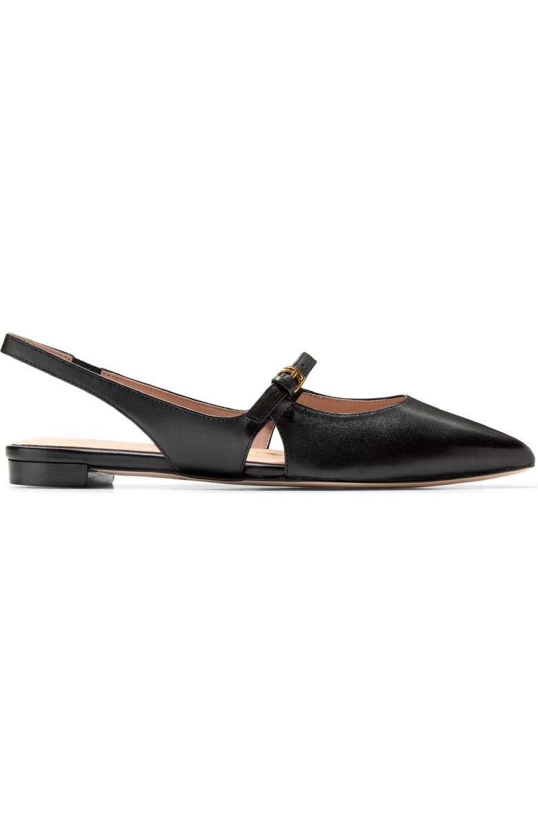 Cole Haan Anya Slingback Mary Jane Pointed Toe Flat, Alternate, color,