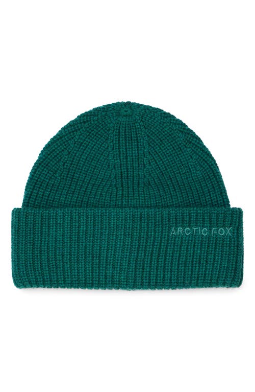 Arctic Fox & Co. Arctic Fox & Co The Embroidered Merino Wool Beanie In Green