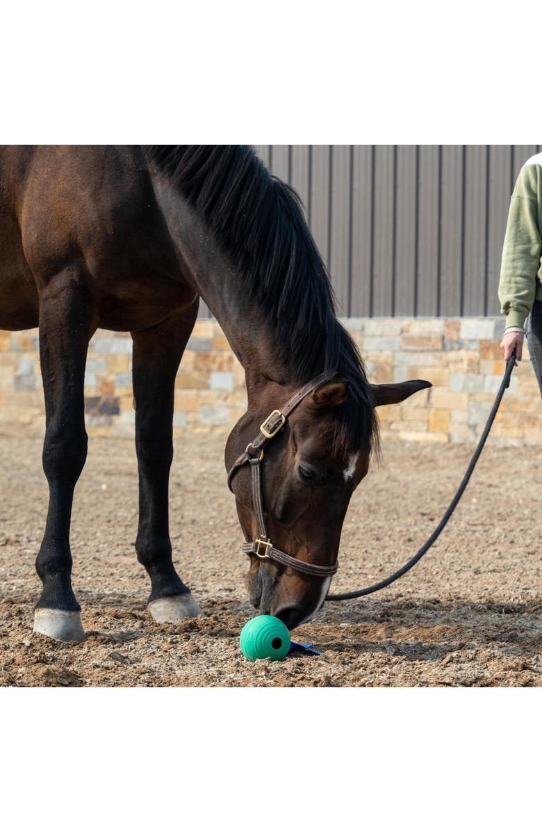 PetKORE KoreFlex Ball & Tail, Horse Equine Toy, 4.75 Inch Green Ball, Alternate, color, Green
