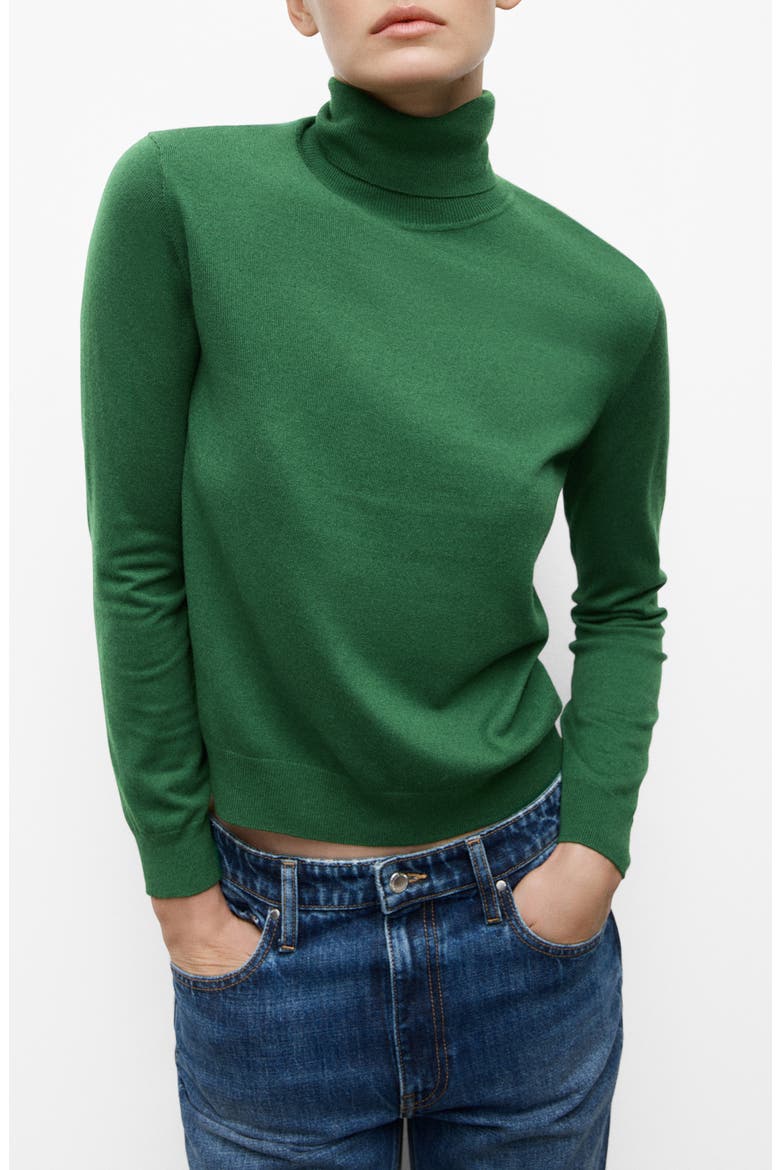 Turtle Knit Sweater, Main, color, DARK GREEN