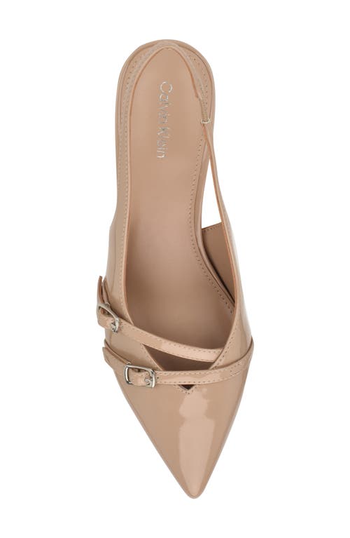 Calvin Klein Dazea Slingback Kitten Heel Pump In Brown