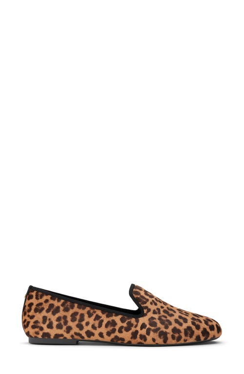 Birdies Starling Flat In Leopard Print Calf Hair