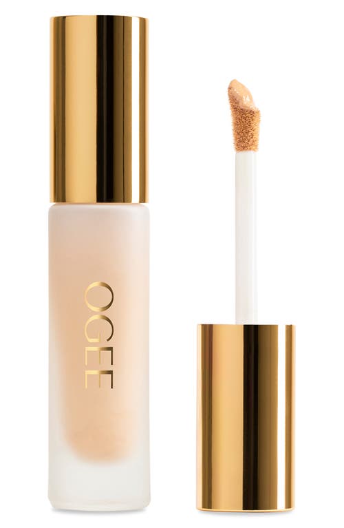 Ogee Complexion Perfecting Concealer In Brown