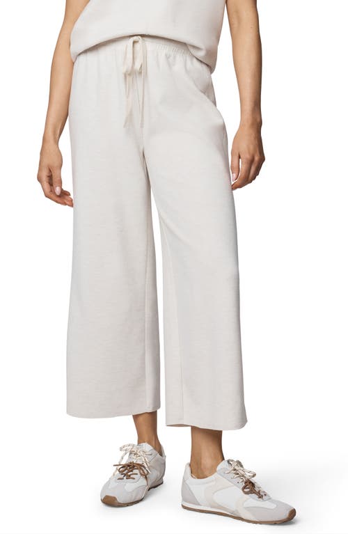 Splendid Winslow Crop Wide Leg Sweatpants In Neutral