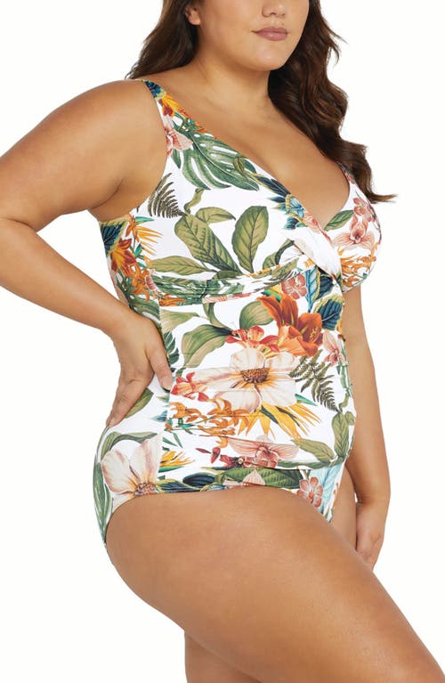 Artesands Plus Size Into The Saltu Delacroix One-piece Swimsuit