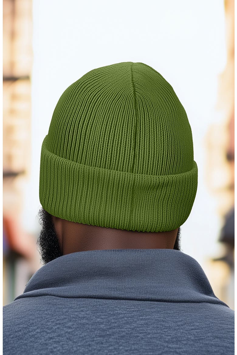 Chill Touch Beanie, Alternate, color, Olive