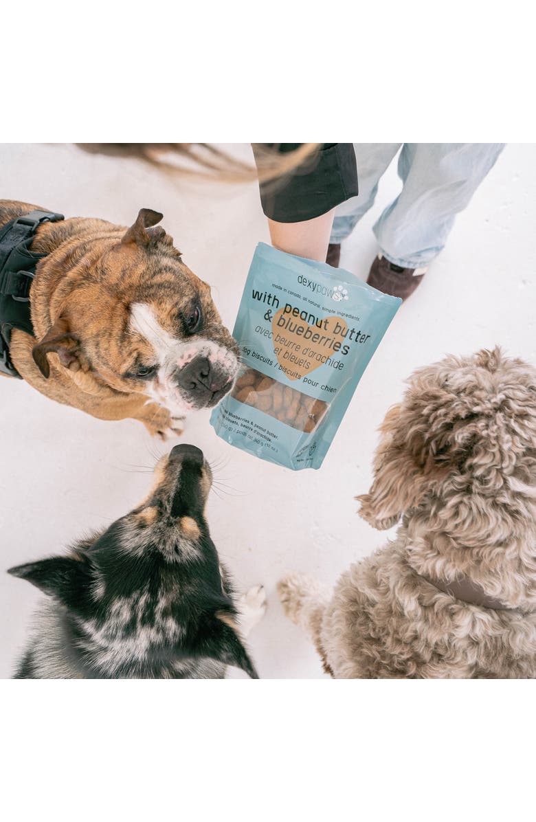 Dexypaws Peanut Butter & Blueberry Dog Biscuits 12oz, Alternate, color, 