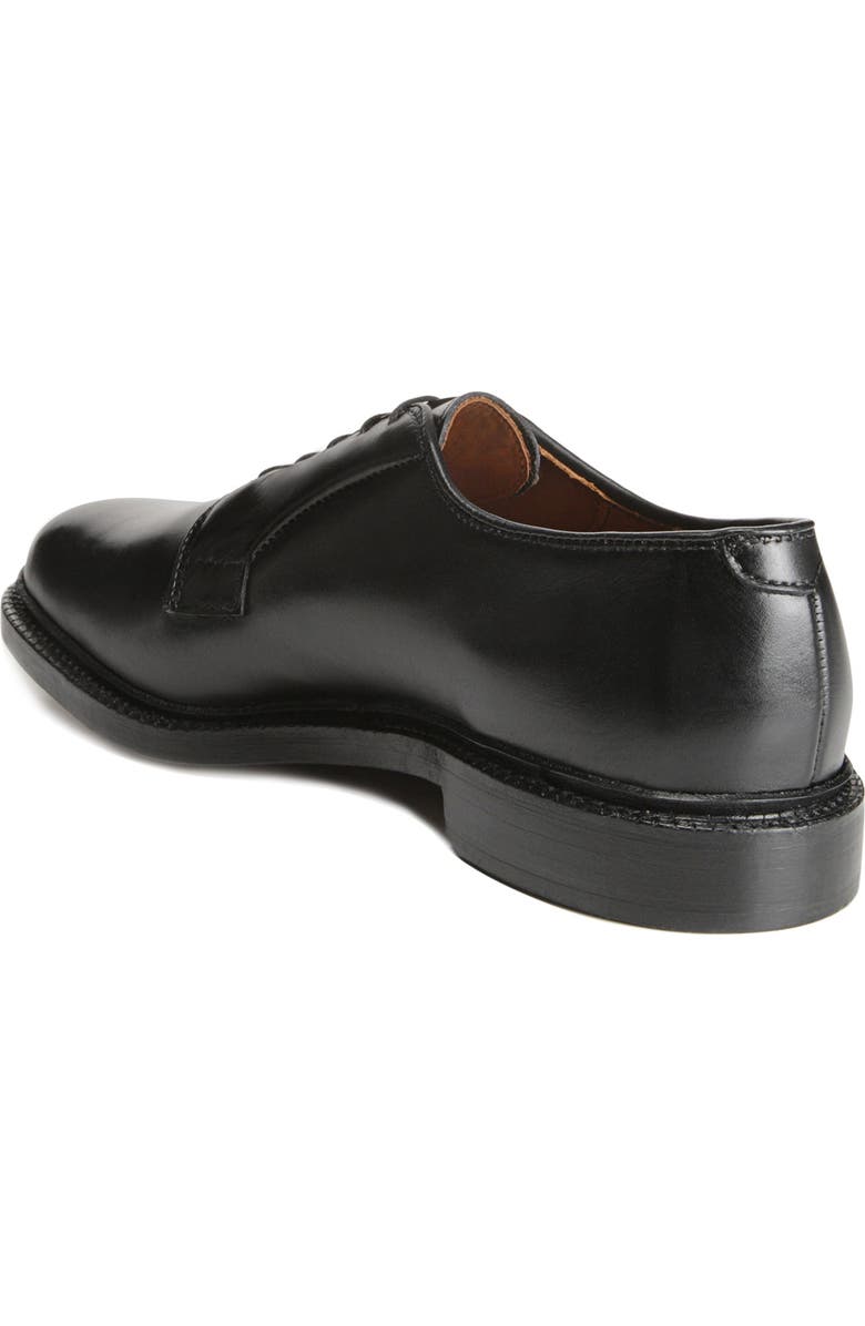 Allen Edmonds Leeds Plain Toe Derby, Alternate, color,