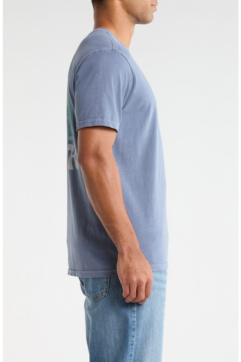Palm Graphic Regular Fit T-Shirt, Alternate, color, NEPTUNE