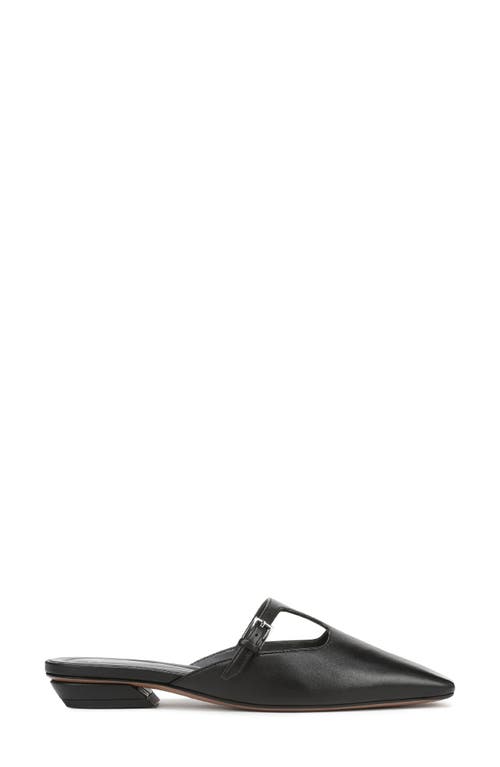 Sarto By Franco Sarto Dorthea T-strap Mule In Black