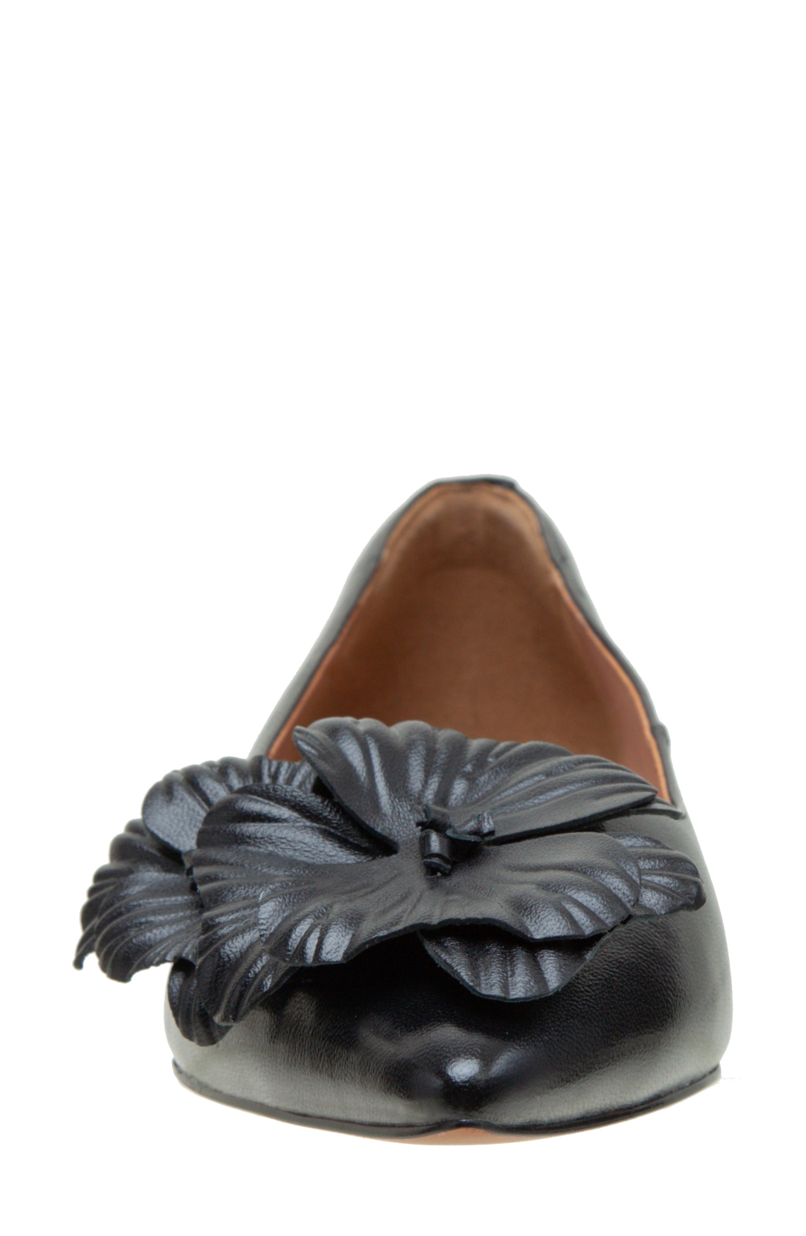 Linea Paolo Nerine Pointed Toe Flat, Alternate, color, Black